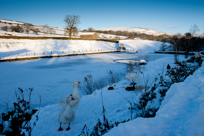 Lothersdale Snow